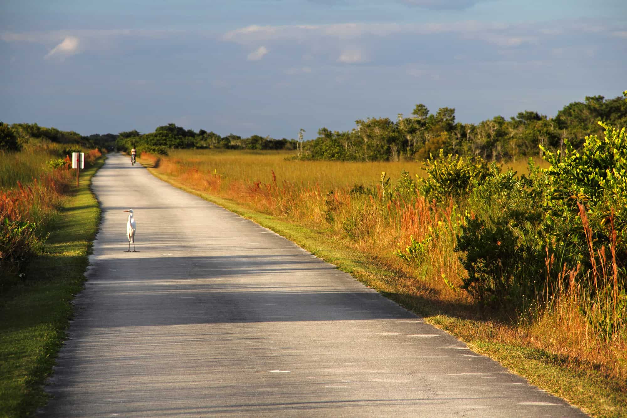 Everglades Natl Park Depositphotos_18340543_l-2015